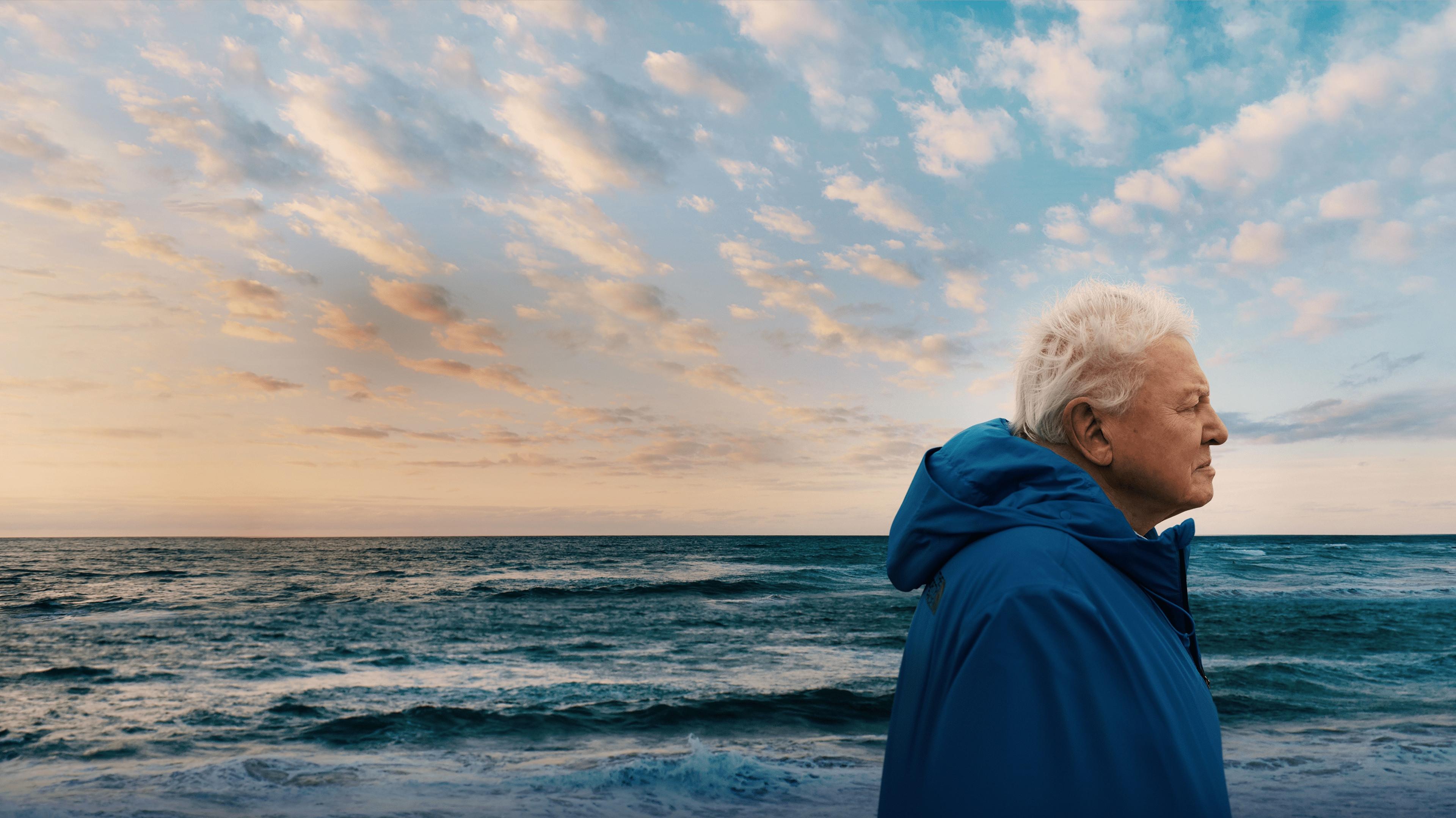 Ocean with David Attenborough backdrop