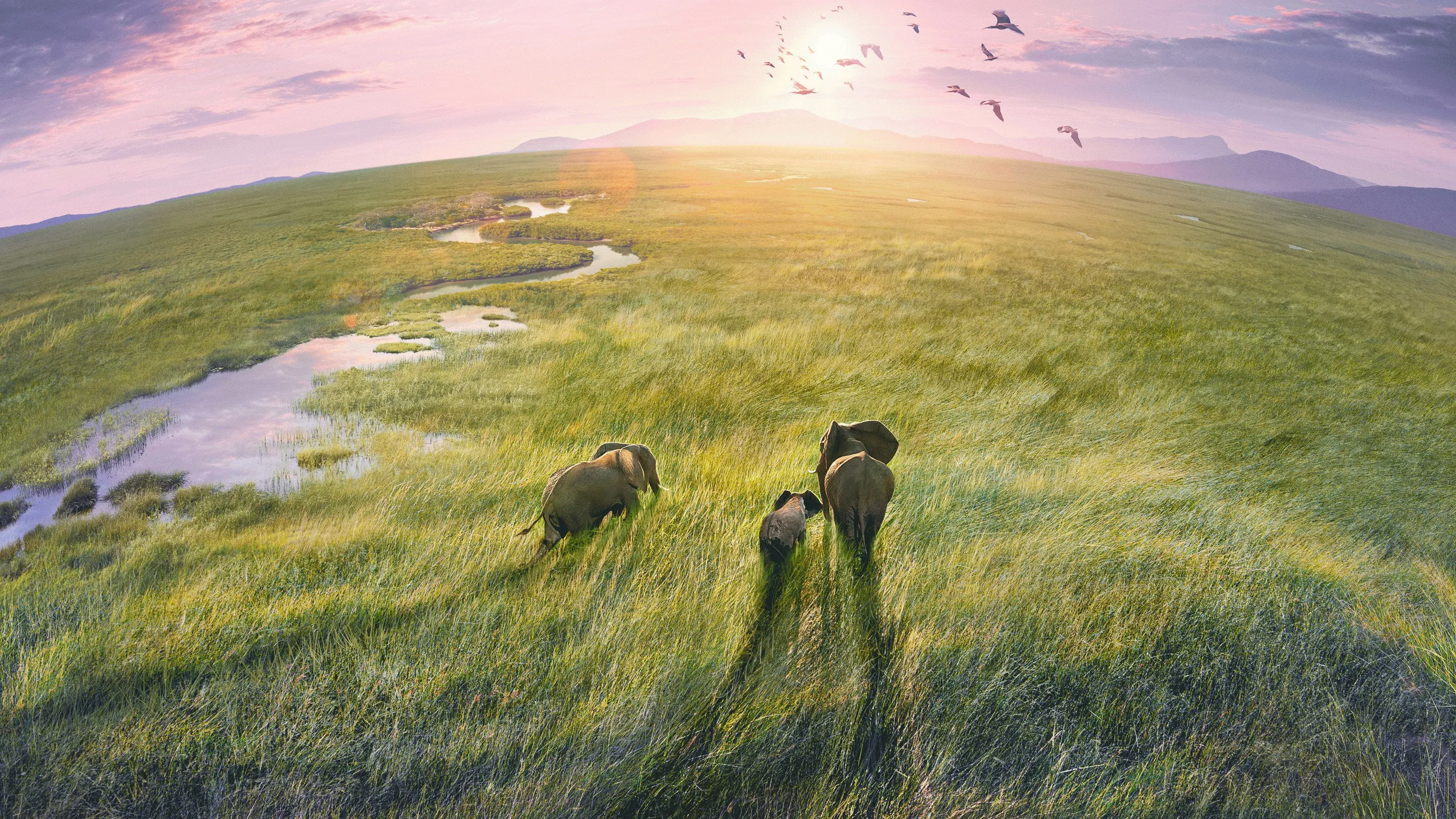 Planet Earth III backdrop