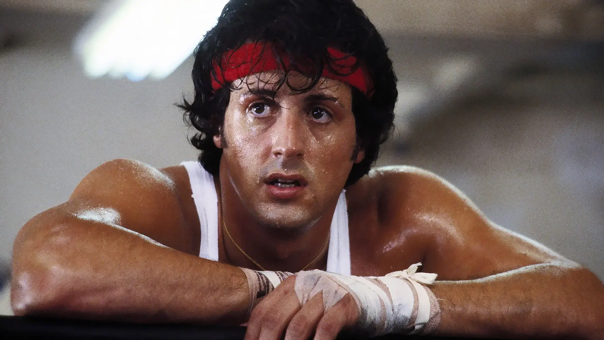 Rocky II backdrop