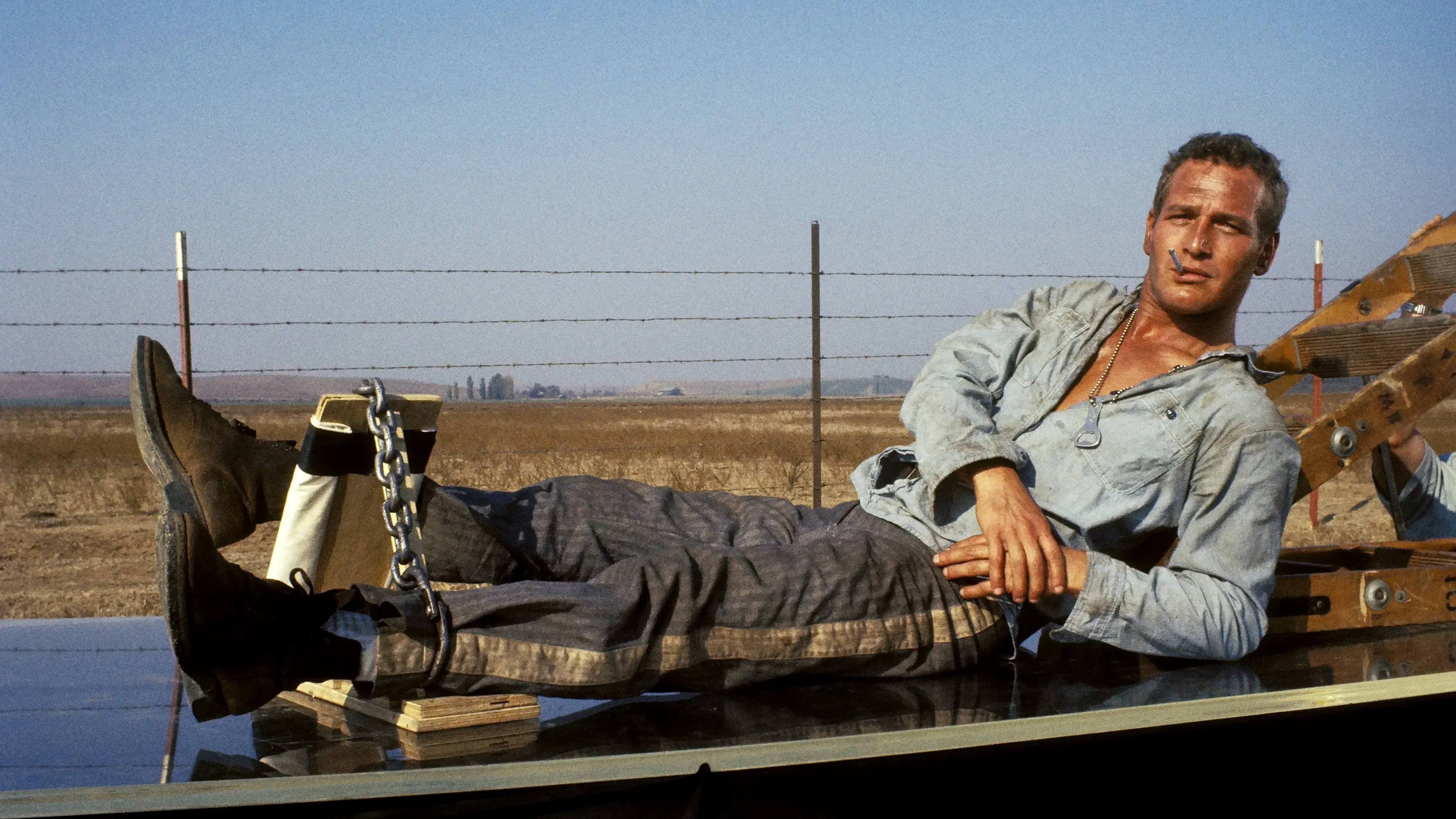 Cool Hand Luke backdrop