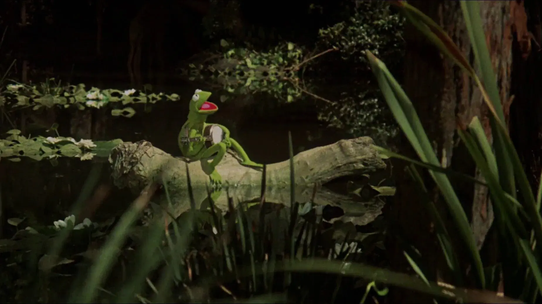 The Muppet Movie backdrop