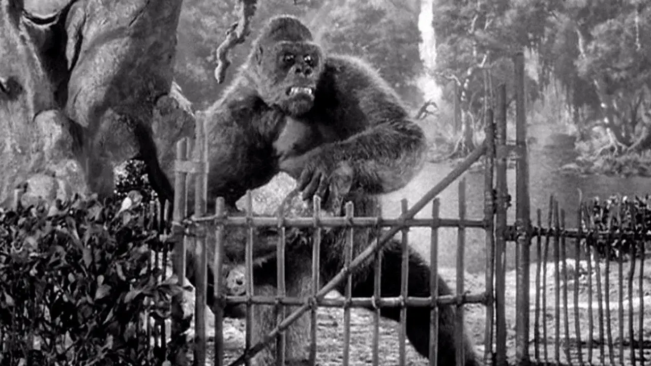 Mighty Joe Young backdrop