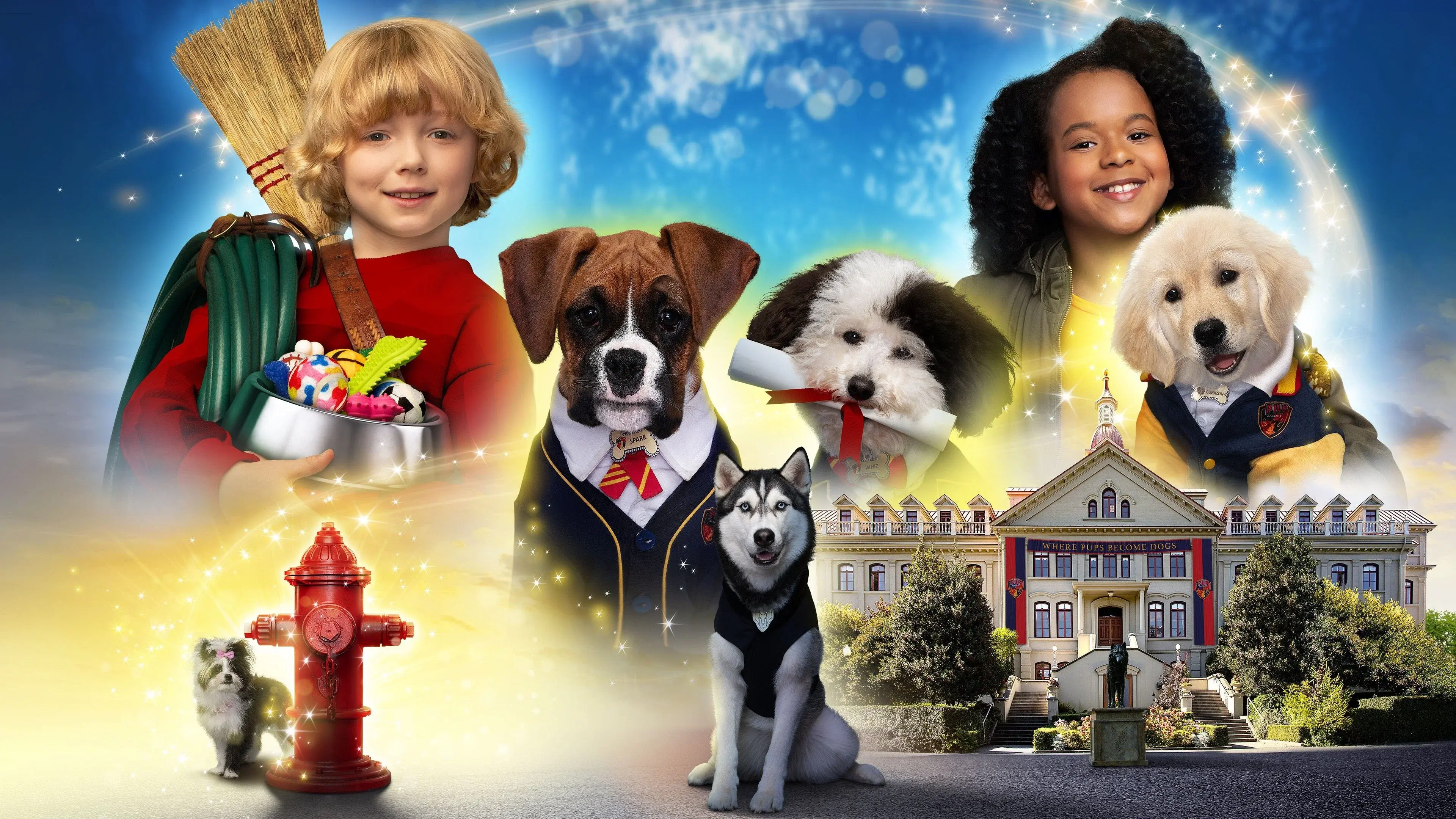Pup Academy backdrop