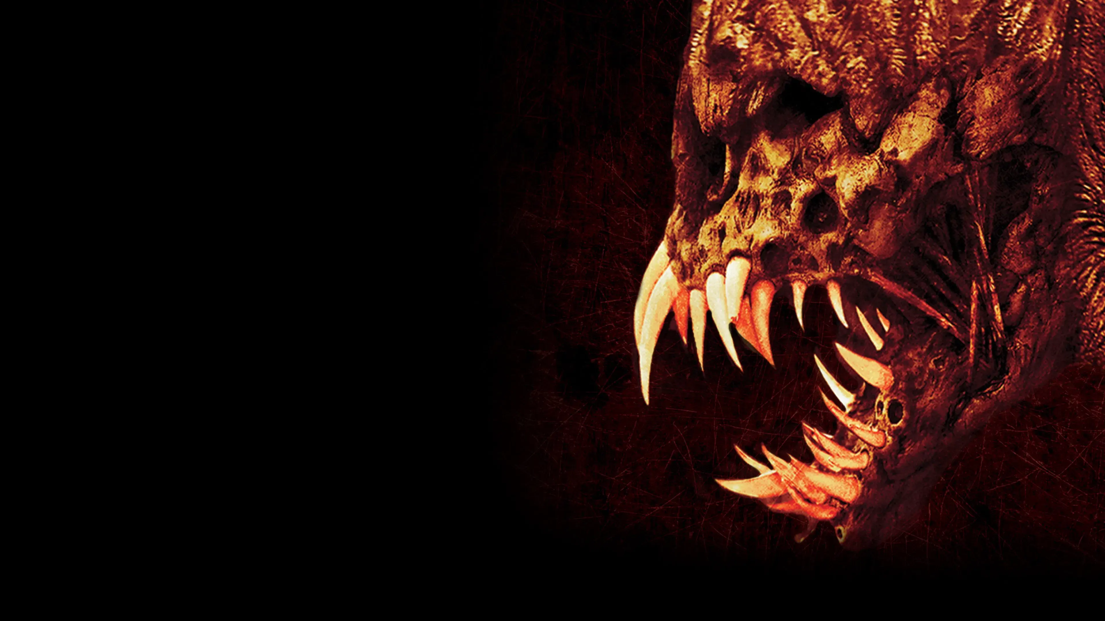 Feast backdrop