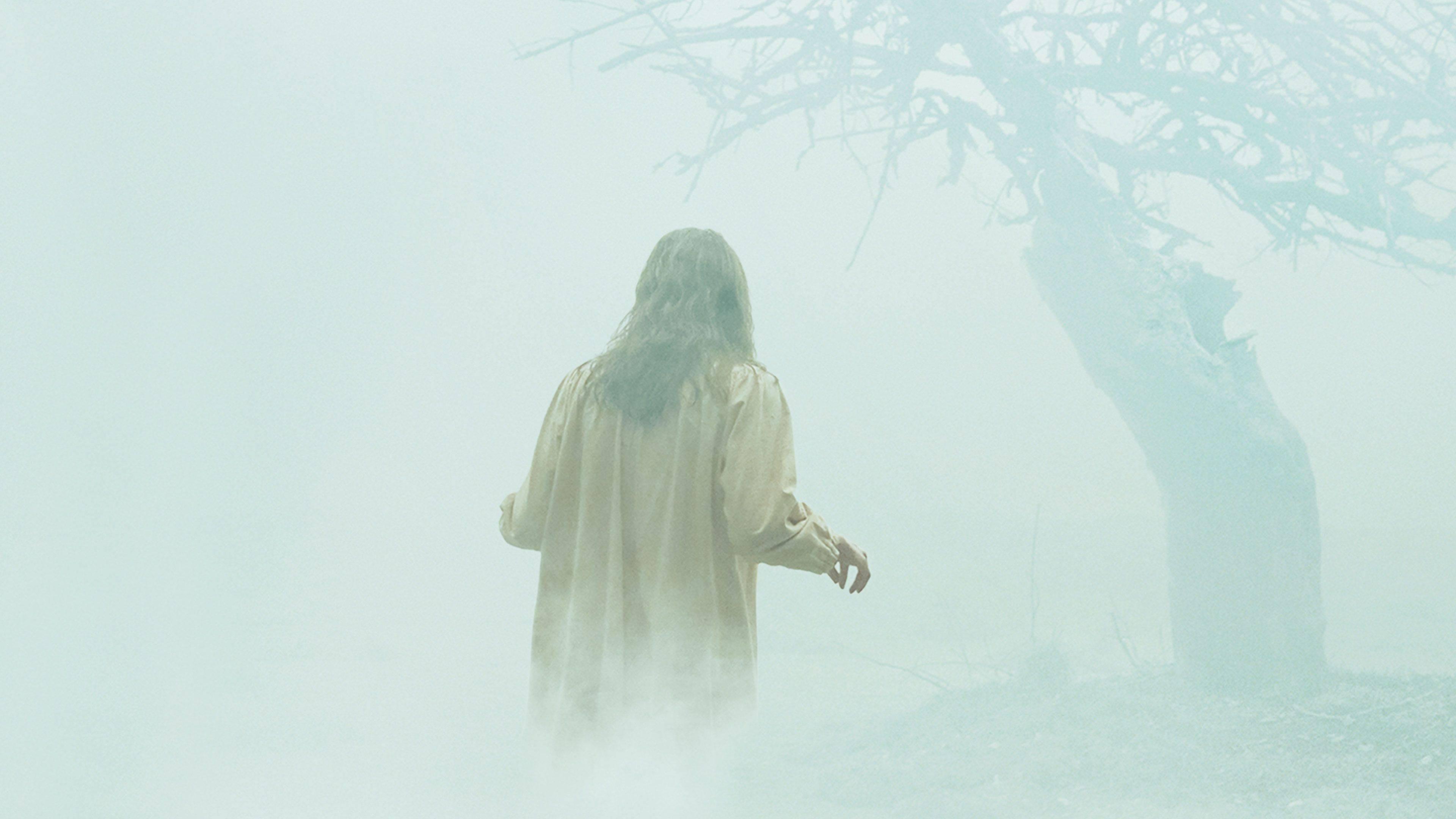 The Exorcism of Emily Rose backdrop