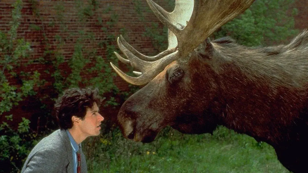 Northern Exposure backdrop