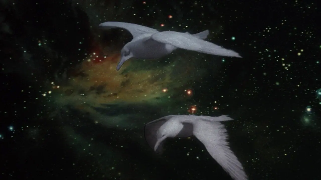 Jonathan Livingston Seagull backdrop