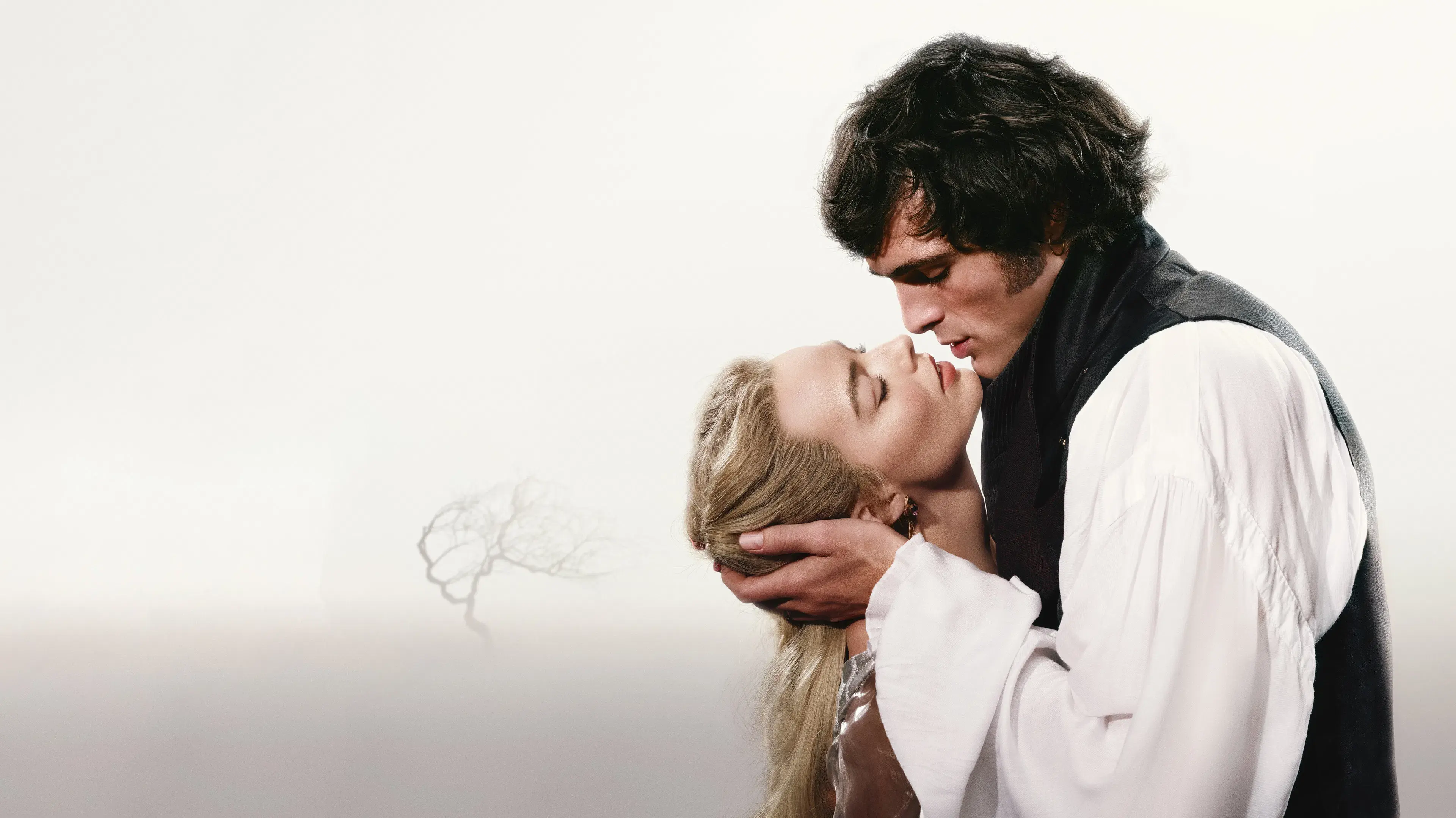 “Wuthering Heights” backdrop