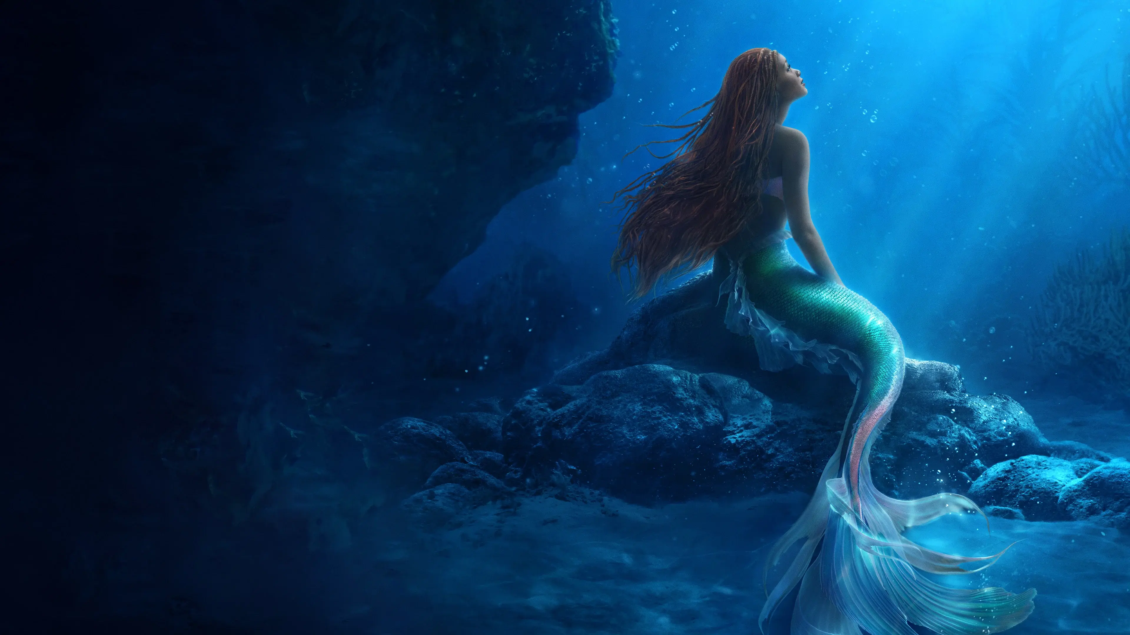 The Little Mermaid backdrop