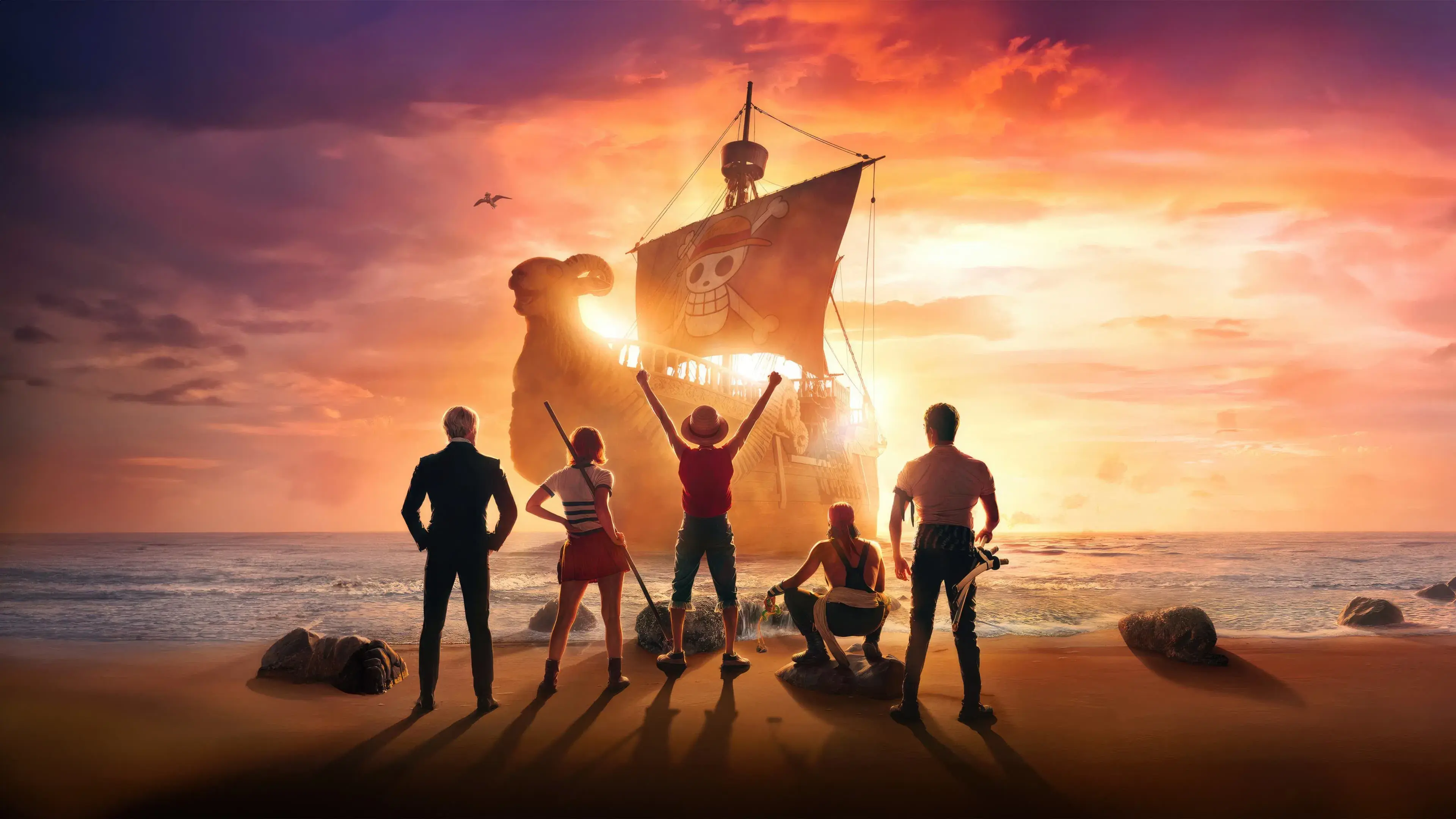 ONE PIECE backdrop