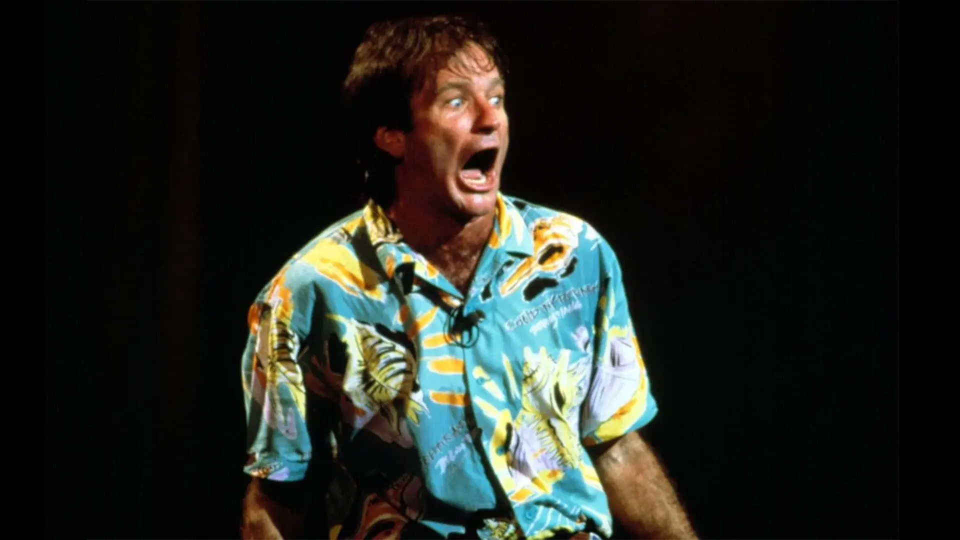 Robin Williams: An Evening at the Met backdrop