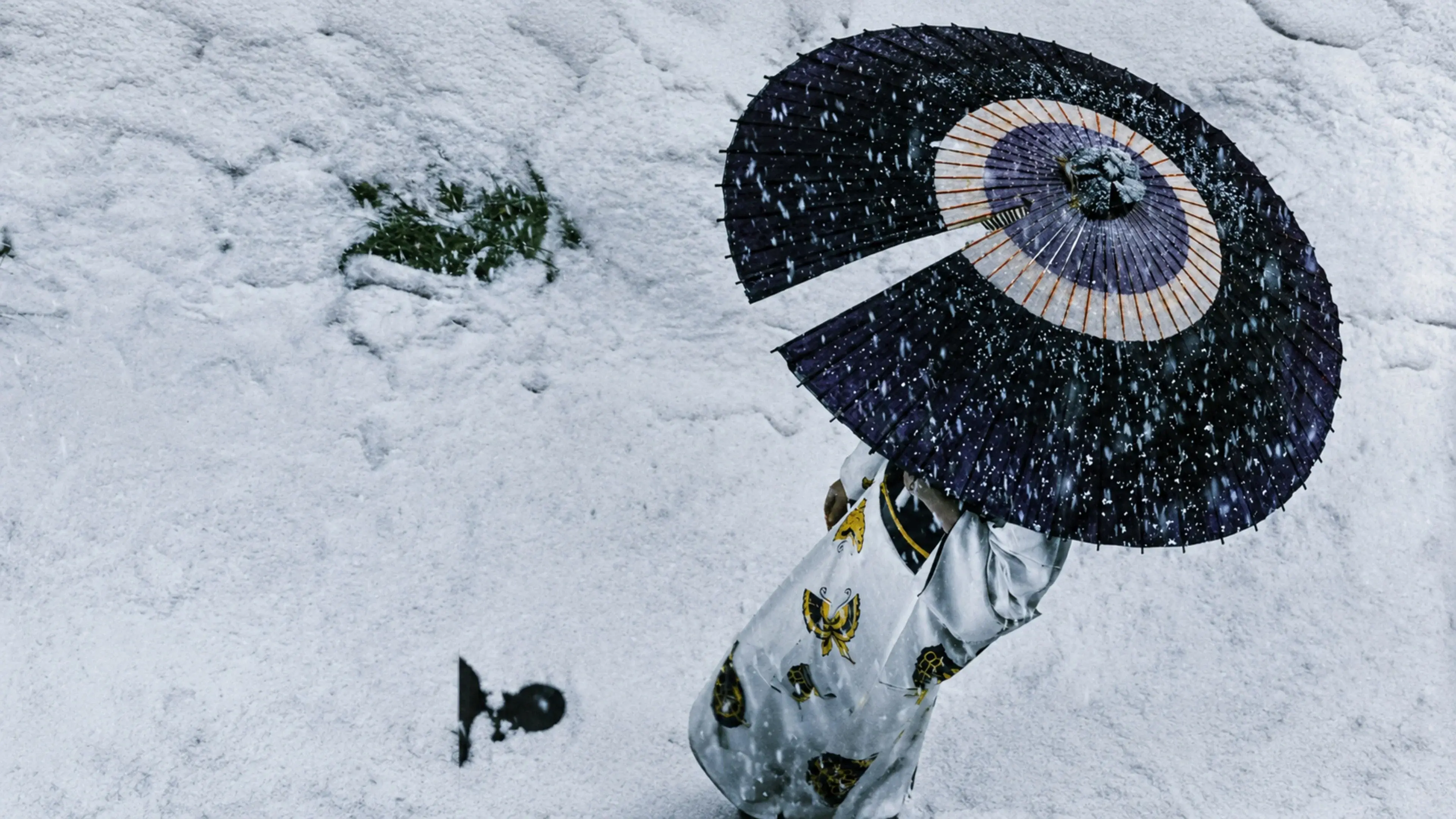 Lady Snowblood backdrop