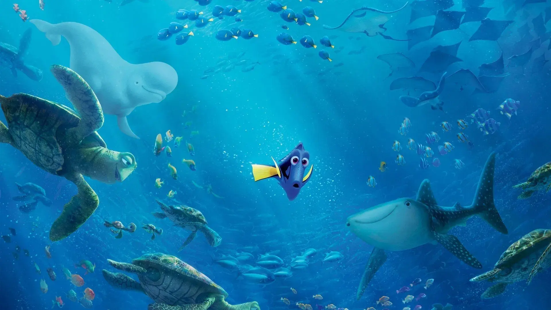 Finding Dory backdrop