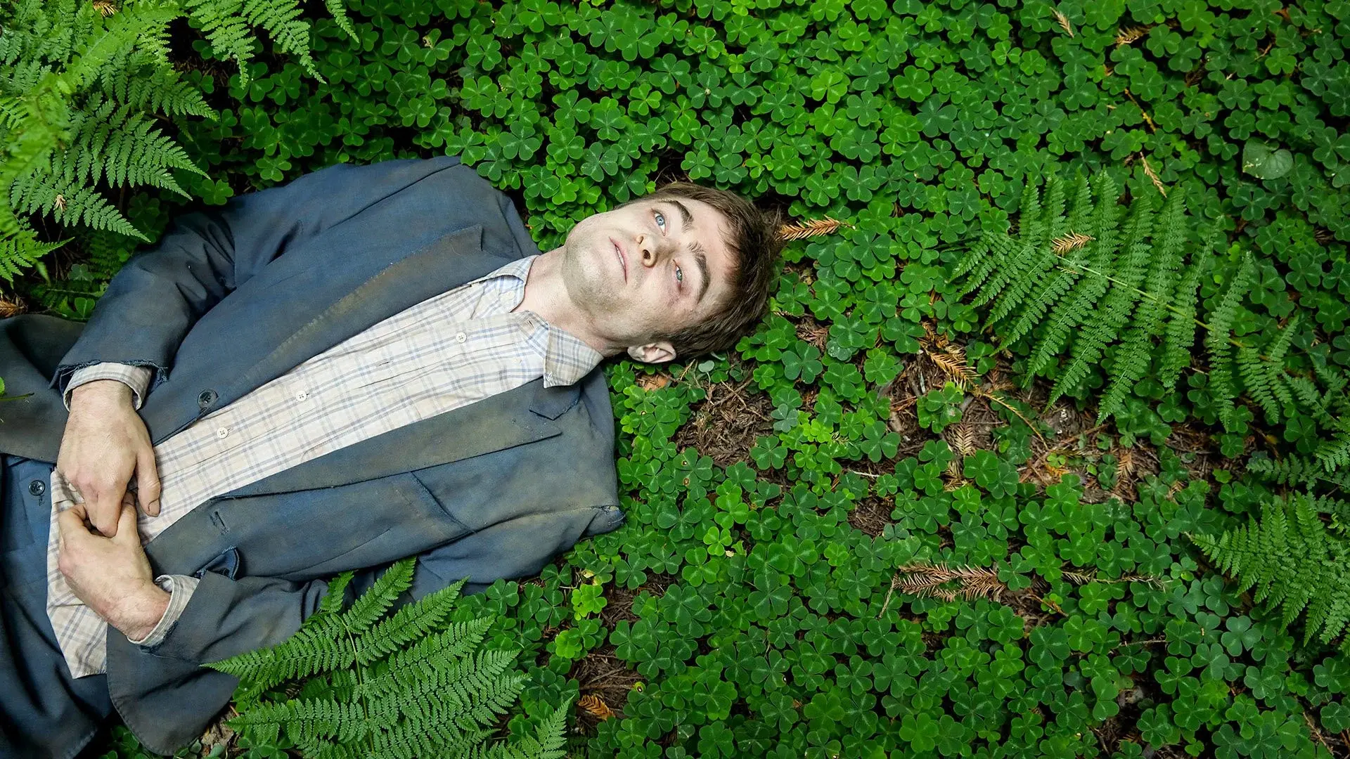 Swiss Army Man backdrop