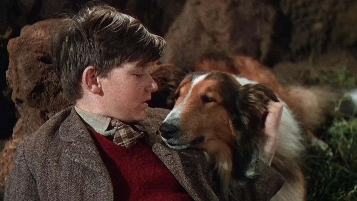 Lassie Come Home backdrop