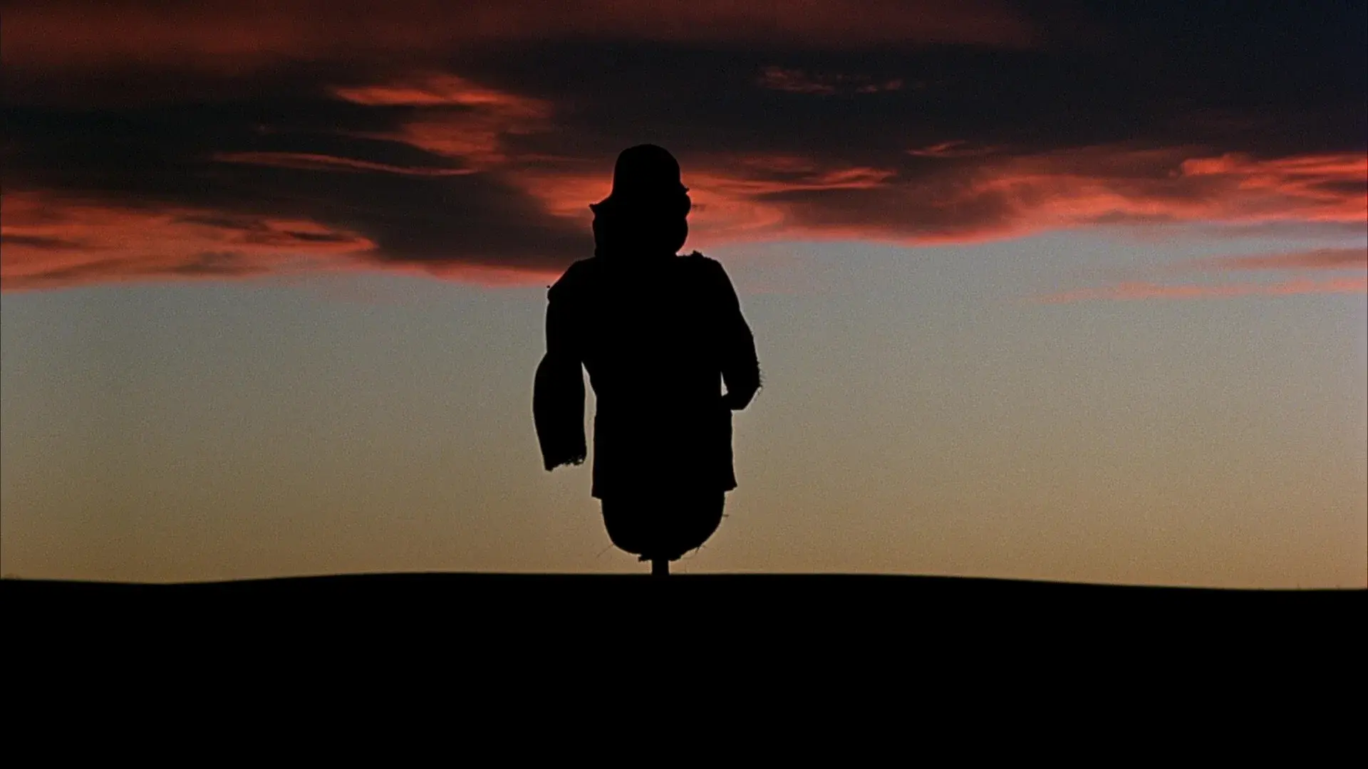 Days of Heaven backdrop