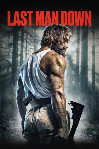 Last Man Down poster