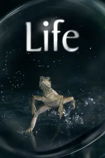 Life poster