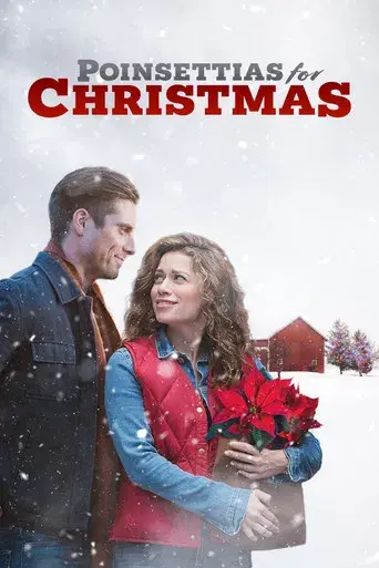 Poinsettias for Christmas poster