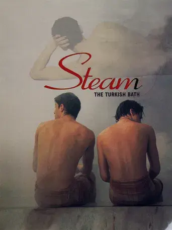 Steam: The Turkish Bath poster