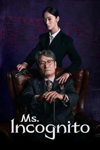 Ms. Incognito poster