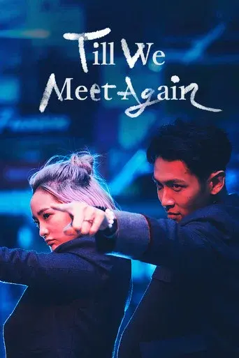 Till We Meet Again poster