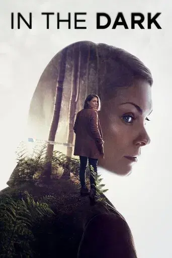 In the Dark poster