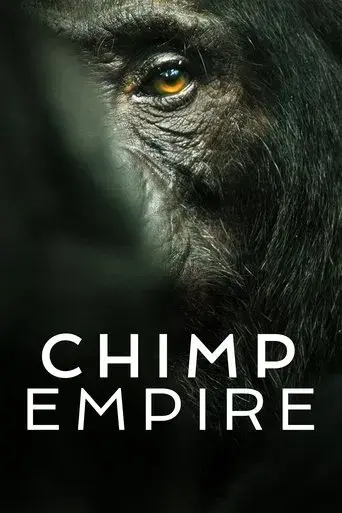 Chimp Empire poster