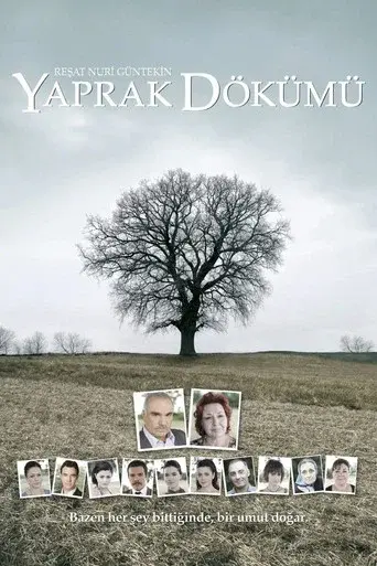 Falling Leaves poster