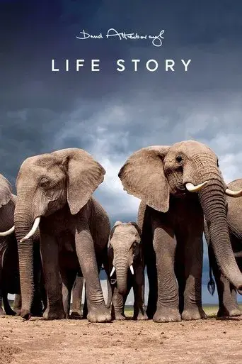 Life Story poster