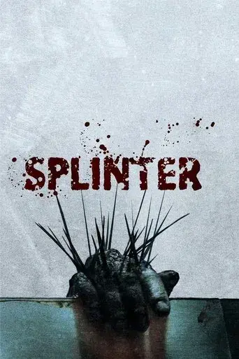 Splinter poster