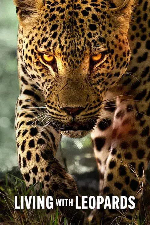 Living with Leopards poster