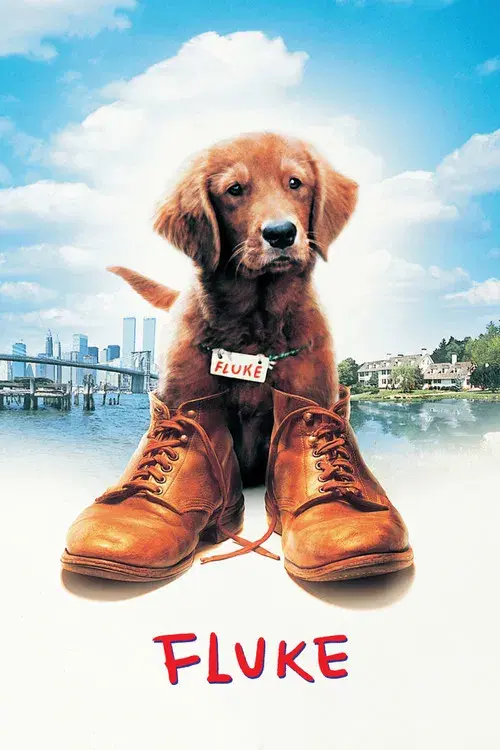 Fluke poster
