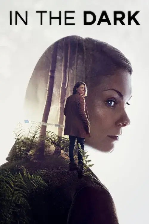 In the Dark poster