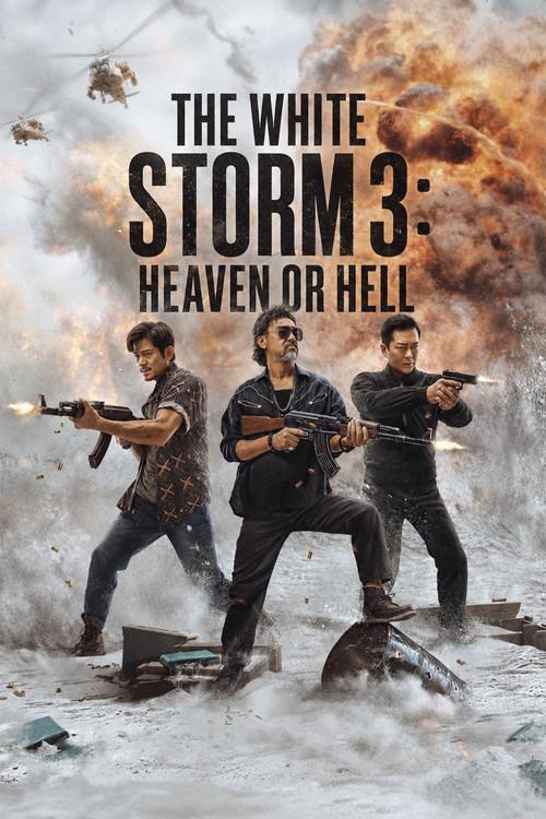 The White Storm 3: Heaven or Hell poster
