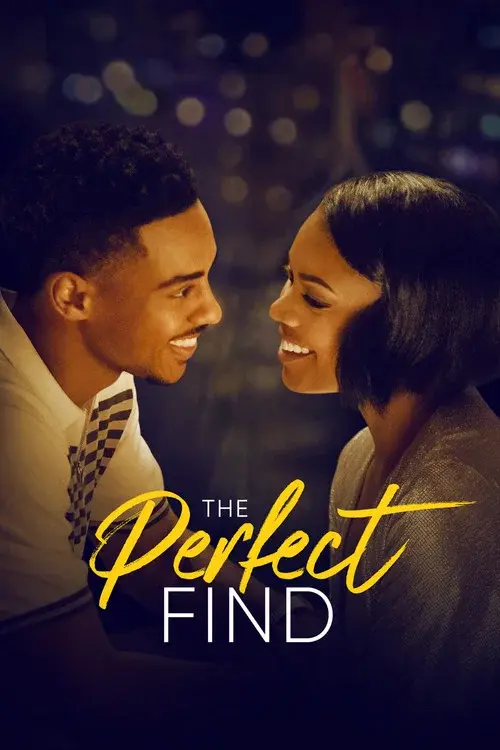 The Perfect Find poster