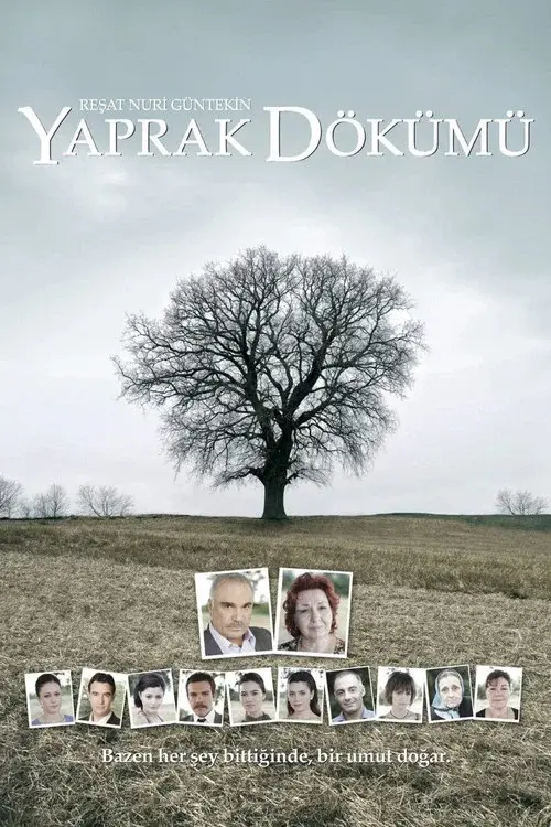 Falling Leaves poster