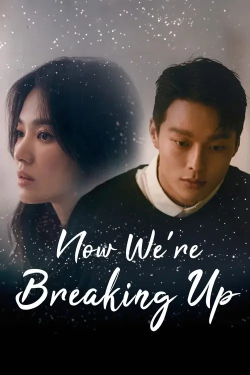 Now, We Are Breaking Up poster