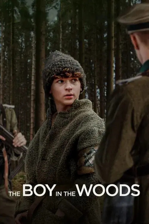 The Boy in the Woods poster