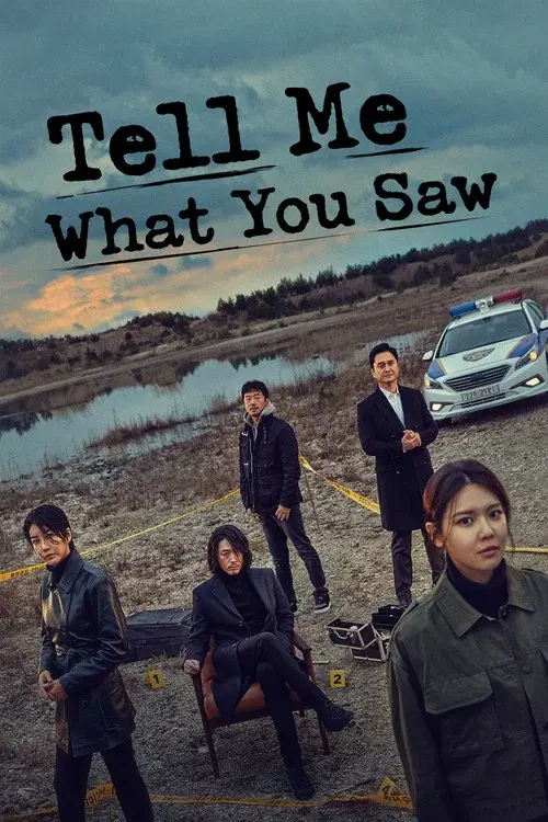 Tell Me What You Saw poster