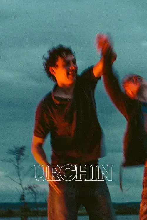 Urchin poster
