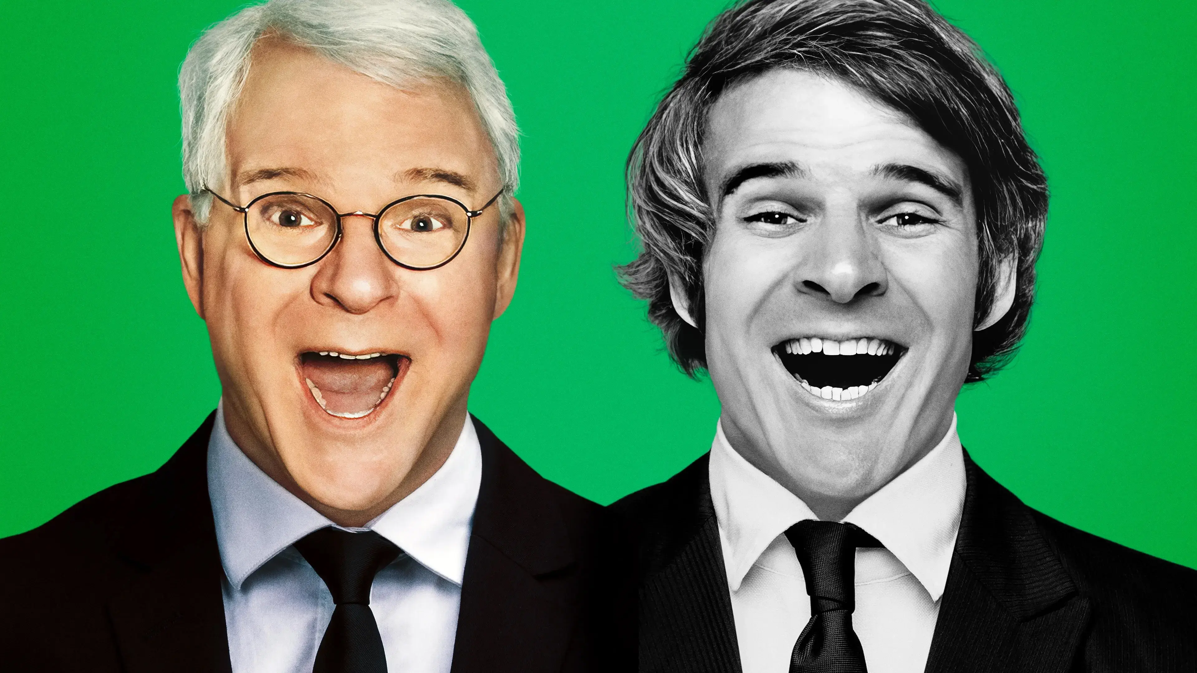 STEVE! (martin) a documentary in 2 pieces backdrop