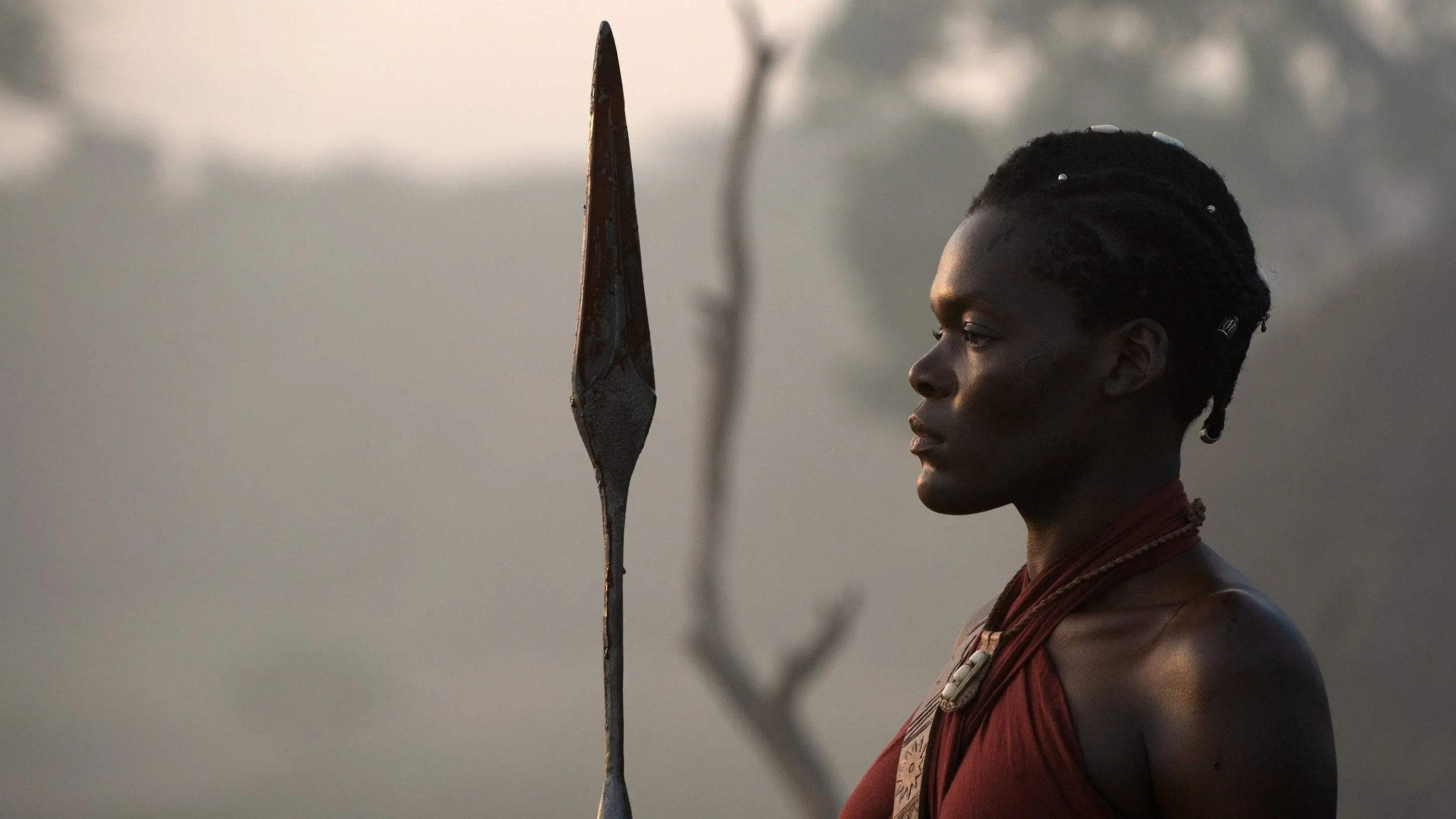 The Woman King backdrop