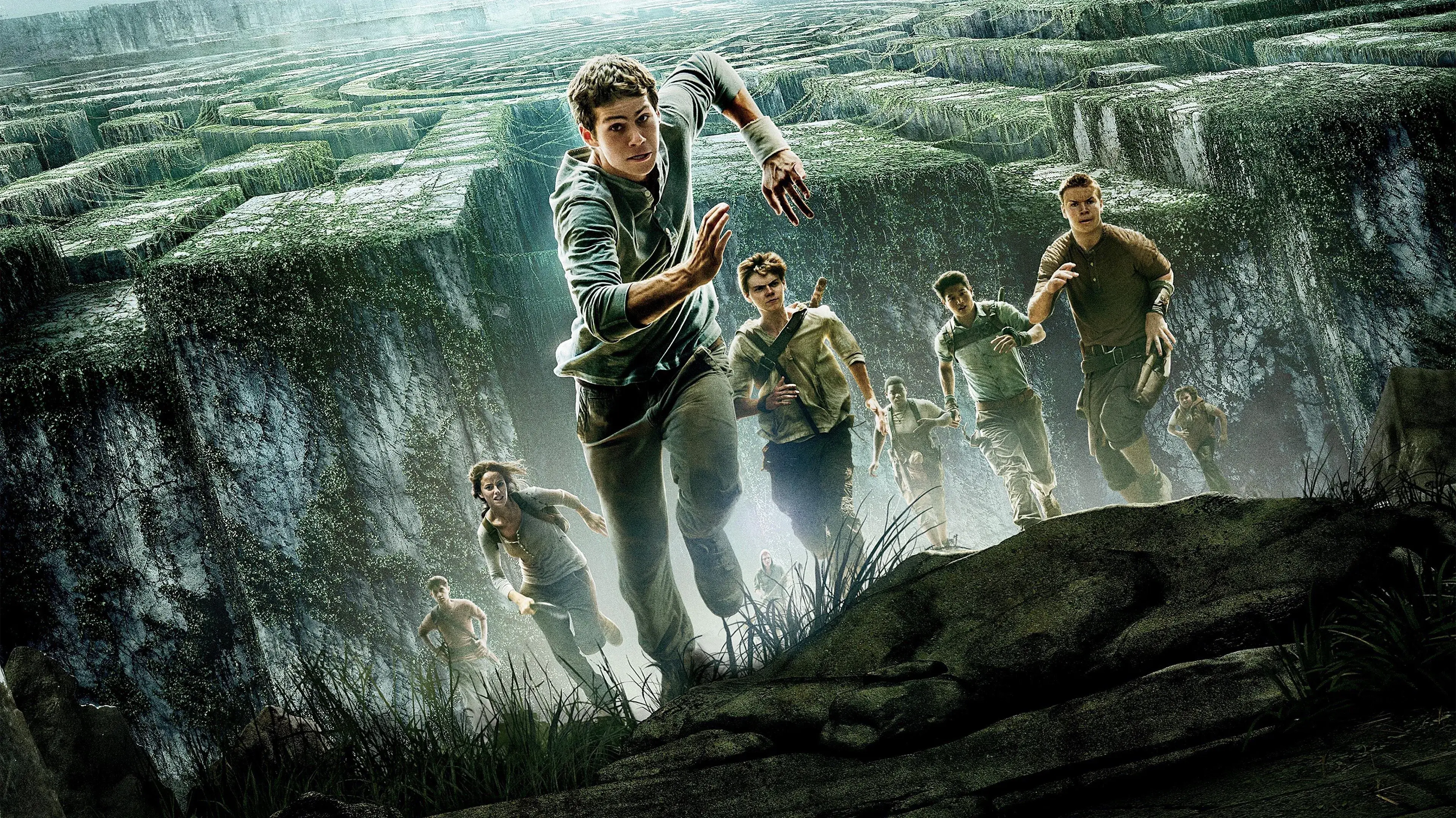 The Maze Runner backdrop