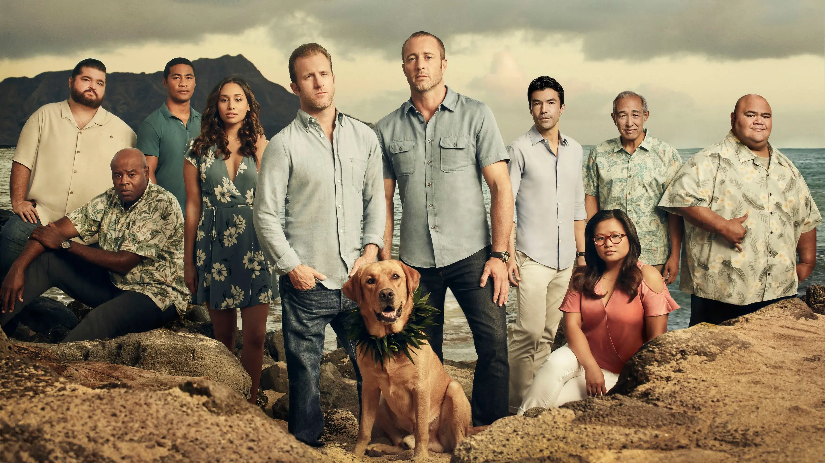 Hawaii Five-0 backdrop