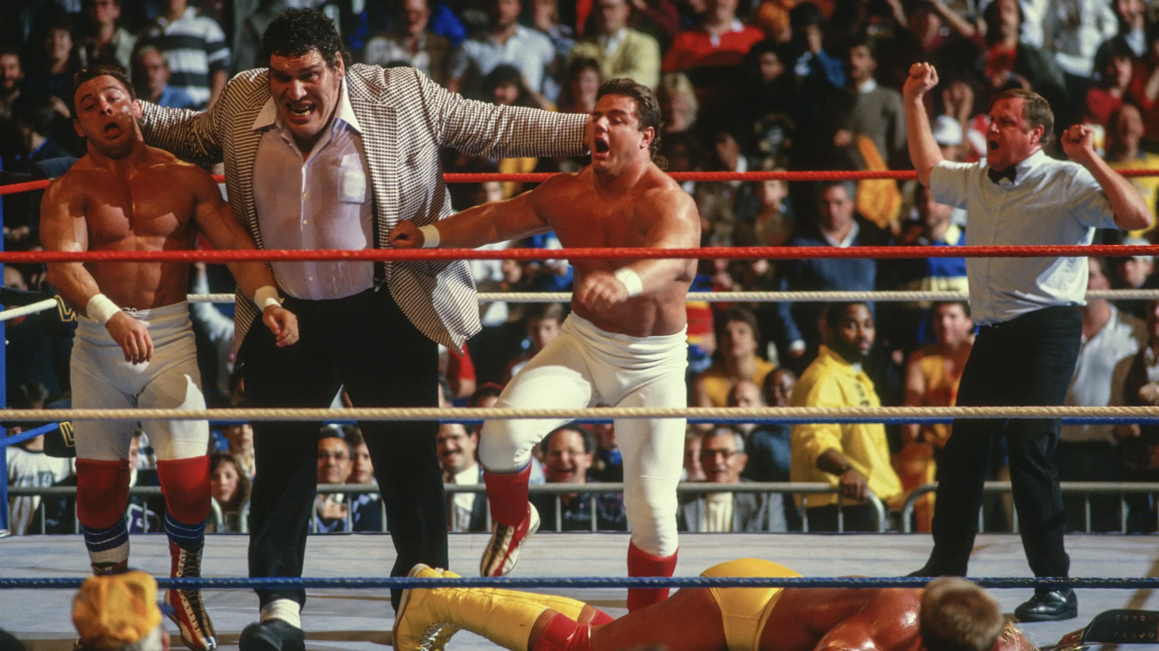 WWE Saturday Night's Main Event backdrop
